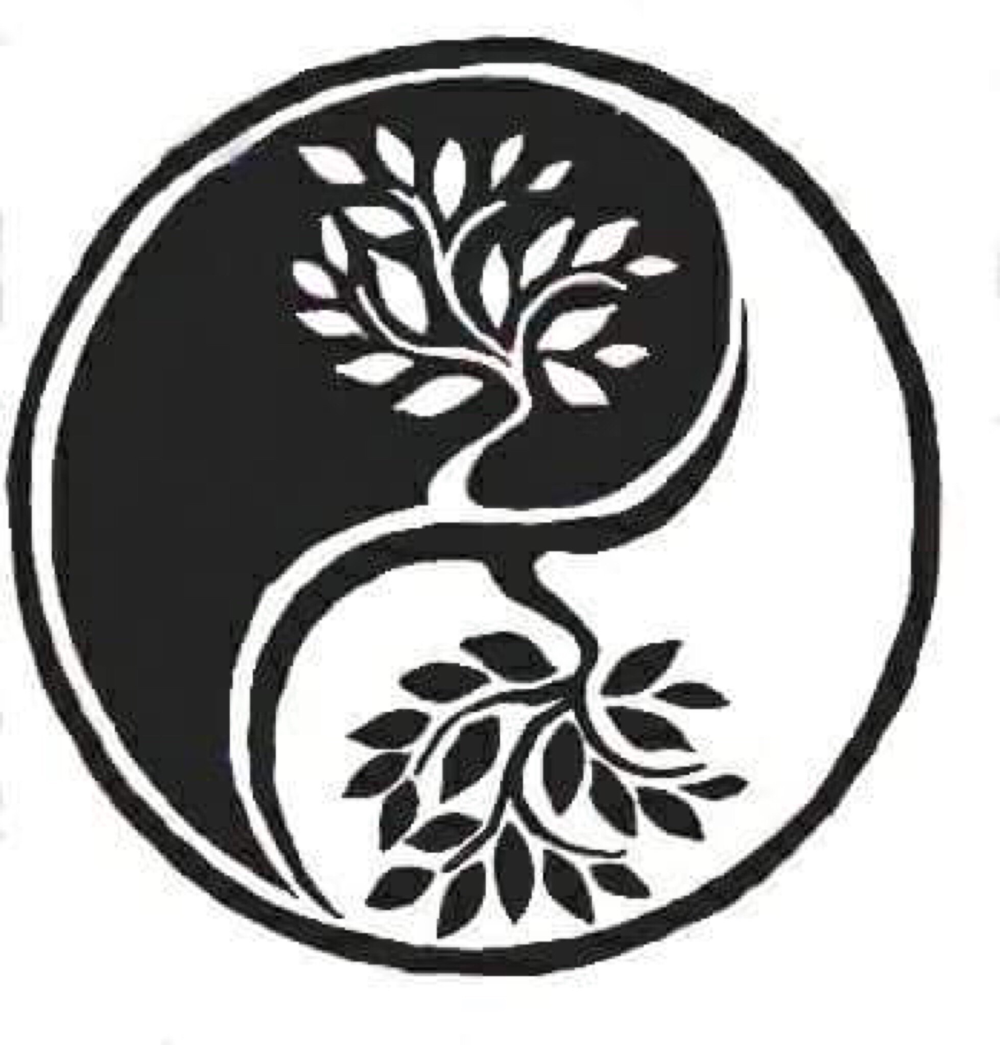 Avalon Acupuncture and Chinese Medicine, LLC